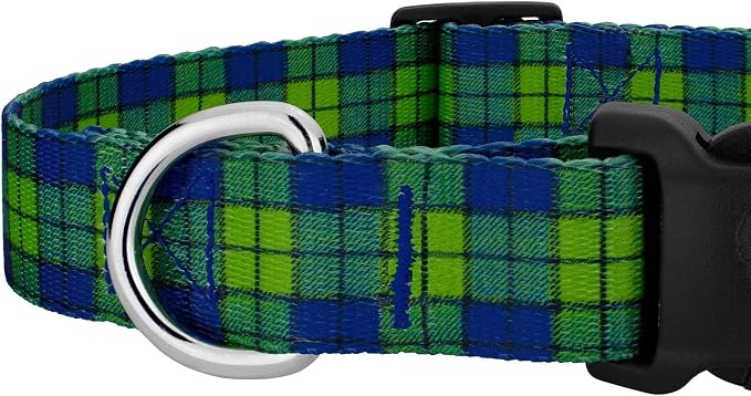 Country Brook Petz - Blue and Green Plaid Everyday Dog Collar and Leash - Plaid and Argyle Collection Featuring Charming Designs (1 Inch, Extra Large)