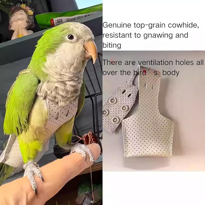 Premium Genuine Cowhide Bird Flight Harness Anti Bite Breathable Parrot Diaper Parrot Suit with Leash for Parakeet Conure Quaker Flying Clothes Rope and Handle (Without Leash,X-Large)