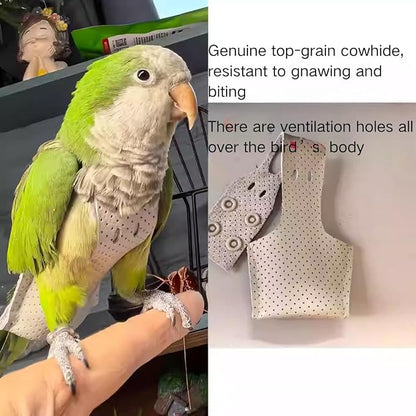 Premium Genuine Cowhide Bird Flight Harness Anti Bite Breathable Parrot Diaper Parrot Suit with Leash for Parakeet Conure Quaker Flying Clothes Rope and Handle (with Leash,2M)