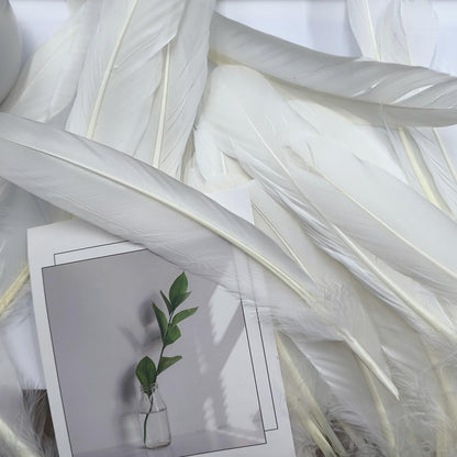 Natural Goose Feathers,50Pcs Bulk Long 8-10in (20-25cm) White Goose Feathers for Crafts Angel Wings Wedding Party DIY (Natural White)