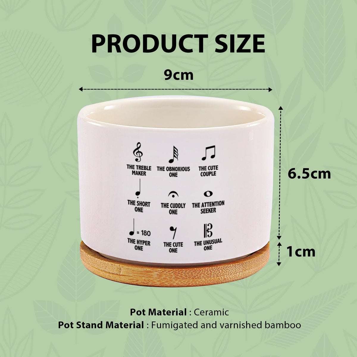 Loovelo Musical Notes Symbol Definition Musicians Gifts Music Teacher Gifts Pianist Choir Director Ceramic Succulent Plant Pot with Bamboo Tray Round Plant Lover Home Decor 3.5 Inch White (No Plants)