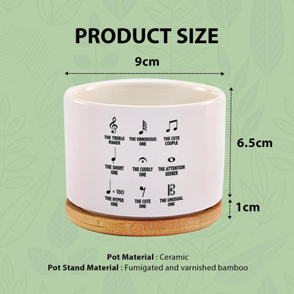 Loovelo Musical Notes Symbol Definition Musicians Gifts Music Teacher Gifts Pianist Choir Director Ceramic Succulent Plant Pot with Bamboo Tray Round Plant Lover Home Decor 3.5 Inch White (No Plants)