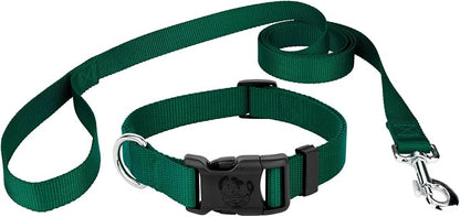 Country Brook Petz - Everyday Nylon Dog Collar and Leash - 10+ Cool Colors (3/8 Inch, Extra Small, Green)