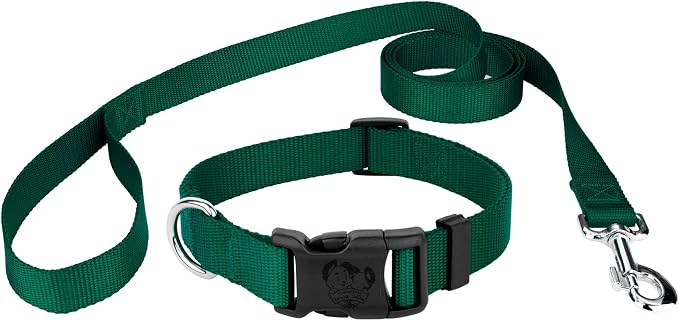 Country Brook Petz - Deluxe Nylon Dog Collar and Leash - 10+ Cool Colors (3/4 Inch, Small, Green)