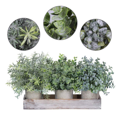 Winlyn Set of 3 Mini Potted Artificial Eucalyptus Plants Faux Rosemary Plant Assortment with Wood Planter Box for Indoor Office Desk Apartment Wedding Tabletop Greenery Decorations 8.7" Tall