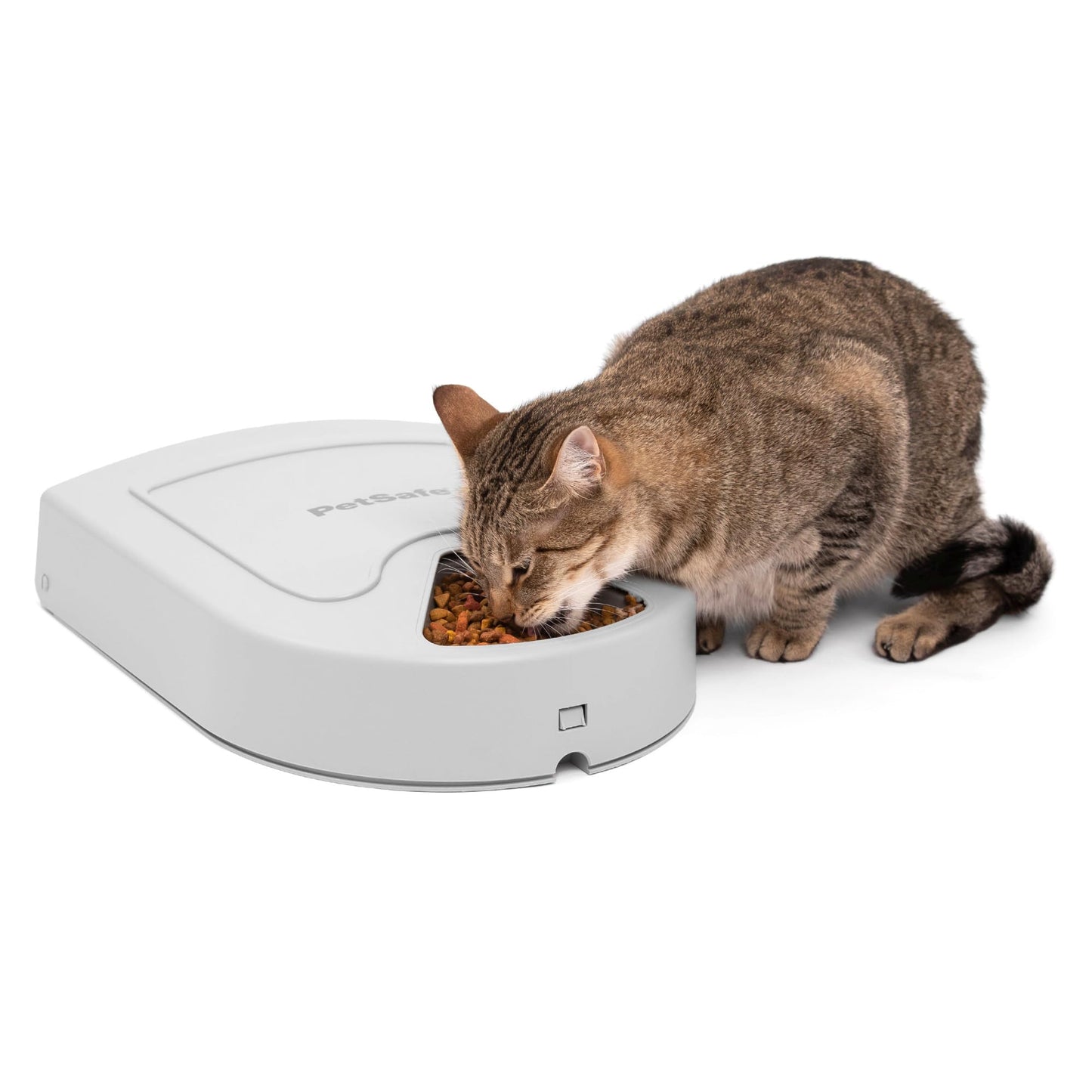 PetSafe Automatic Dog Feeder, 5 Meals, 40 oz Capacity, Plastic, for Dry Food, Multiple Pets