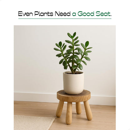 ABBI NIMO Small Short Solid Wood Step Stool, Natural Growth Ring Wood Stool for Kids and Toddlers, Simple Minimalist Riser for Plants and Home Décor