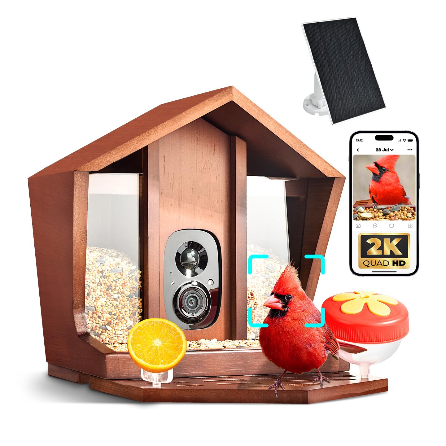 Birdster Smart Bird Feeder with Camera Solar Powered AI Identification 10,000+ Bird 2K UHD Video Live Instant Arrival Alerts and Real-Time Motion Detection Weatherproof Bamboo for Outdoor Birds Lovers