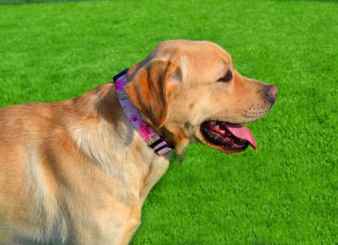 Mihqy Dog Collar with Bohemia Floral Tribal Geometric Patterns - Soft Ethnic Style Collar Adjustable for Small Medium Large Dogs（ Pink Rose, M ）