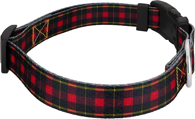 Country Brook Petz - Buffalo Plaid Everyday Dog Collar and Leash - Plaid and Argyle Collection Featuring Charming Designs (1 Inch, Large)