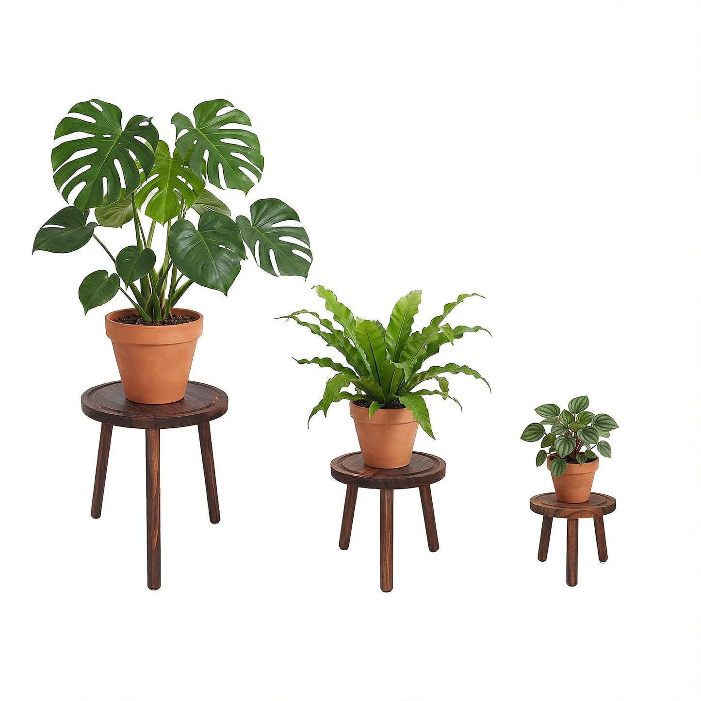 Amdermi 3 Pack Wood Plant Stands Indoor, Mid Century Modern Plant Stool for 6-12 Inch Pots, Tall Small Plant Stand Set for Living Room, Balcony, Office
