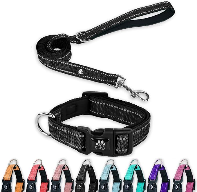 FURRYFECTION Reflective Dog Collar and Leash Set with Quick Release Buckle, Padded with Neoprene Adjustable Nylon Dog Collar for Small Medium and Large Dogs (Small Collar+5FT Leash, Black)