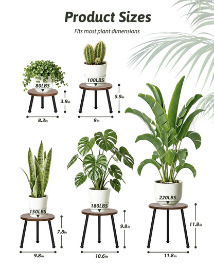 GENTINGBRO 5 Pack Wood Plant Stands Indoor, Round Plant Stool Set with Iron Legs, Heavy Duty Plant Stand Table, Wood and Metal Flower Pot Stand for Living Room, Bedroom, Balcony, Brown/Black