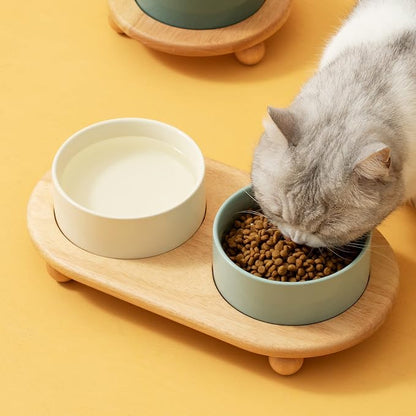 Havniva Raised Cat Bowls Water Bowl 6.1” Elevated Ceramic Cat Food and Water Bowl Whisker Friendly Pet Food Bowls for Indoor Cats, Wide Cat Water Dish Prevent Whisker Fatigue Non Slip Cat Feeder