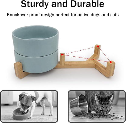 MateeyLife Ceramic Dog and Cat Bowls with Stand, 2-Pack Food and Water Bowl Set - Non-Slip Pet Bowls for Cats,Puppies and Small Dogs, 13.5OZ（Green）