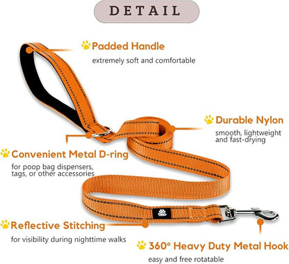 FURRYFECTION Reflective Dog Collar and Leash Set with Quick Release Buckle, Padded with Neoprene Adjustable Nylon Dog Collar for Small Medium and Large Dogs (Small Collar+5FT Leash, Orange)