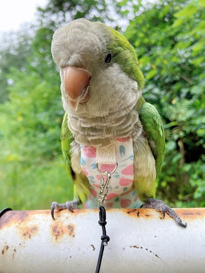 Bird Diaper Harness Flight Suit Clothes, Parrot Flight Suit with Leash, Bird Flying Clothes with Rope and Handle for Outdoor Activities Training (Pink with Leash,Small)