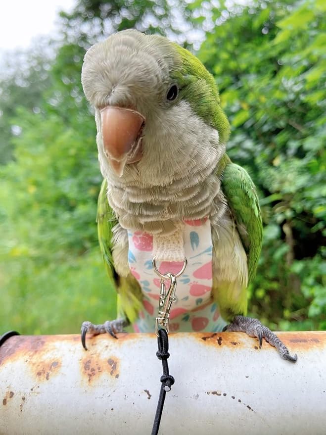 Bird Diaper Harness Flight Suit Clothes, Parrot Flight Suit with Leash, Bird Flying Clothes with Rope and Handle for Outdoor Activities Training (Pink Without Leash,Small)