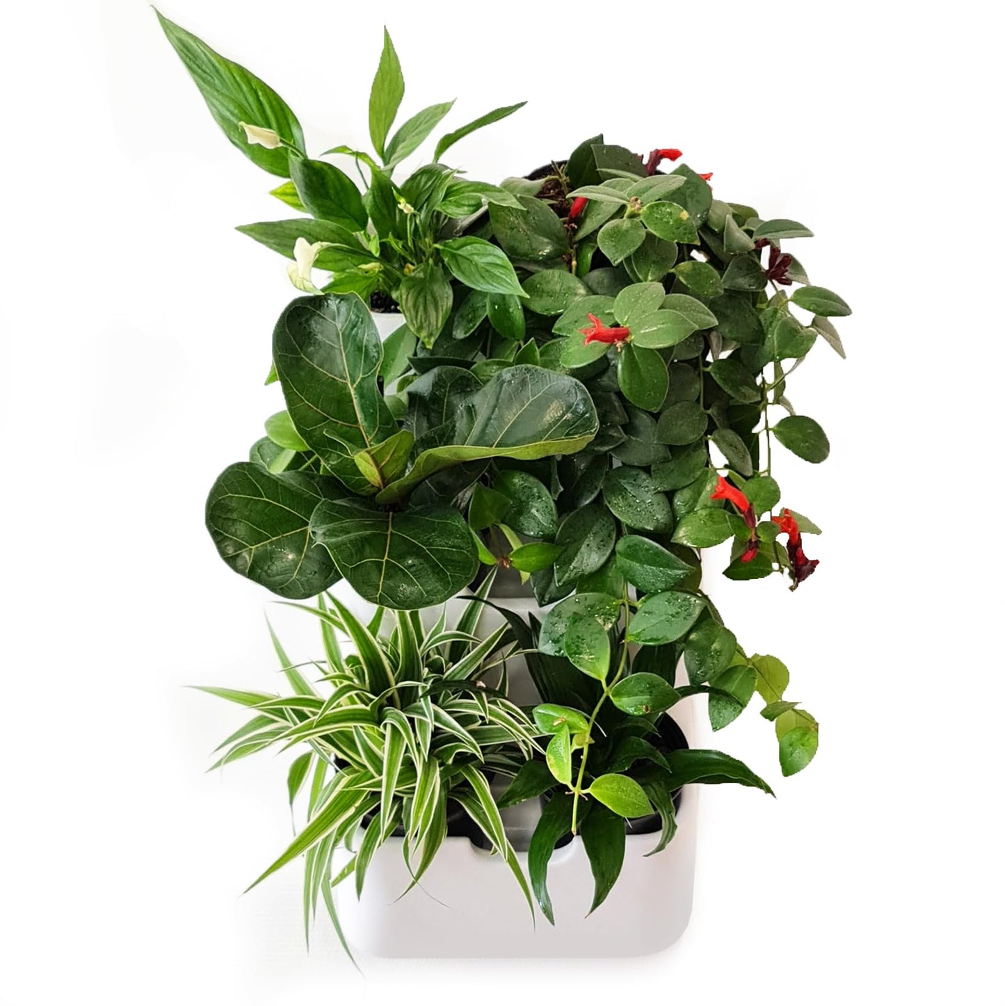 BOXSAND-6 Vertical Wall Planter (12"x26", White with Black Pots) – Living Wall for 6 Plants, Indoor/Outdoor Vertical Garden System, Easy 2-Screw Install