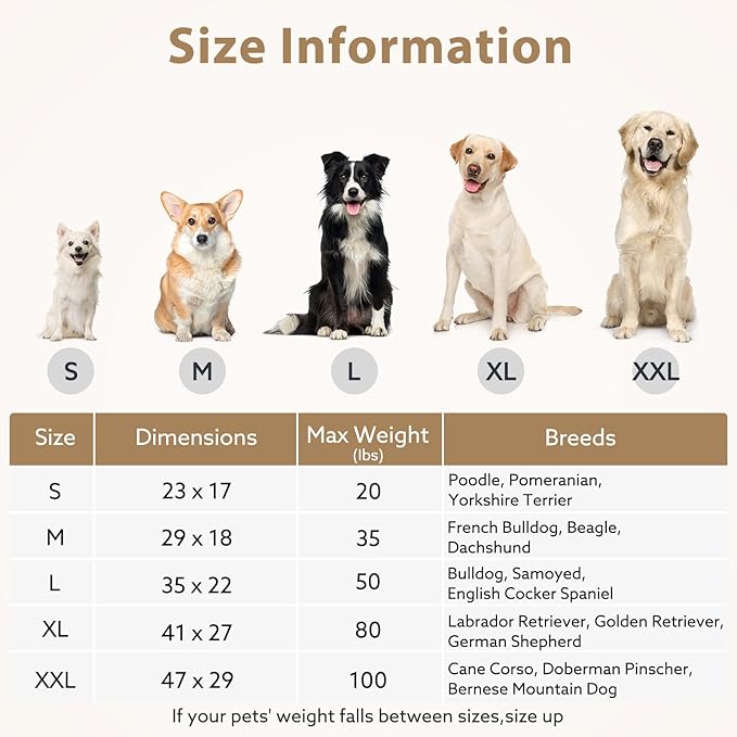 JOEJOY Orthopedic Medium Dog Bed, Washable Dog Crate Bed Medium Sized with Removable Cover, Egg Memory Foam Pet Beds, Beige, 29"x18"