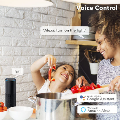 BN-LINK Smart Electrical Outlet with 2 Controlled Plugs and Type-C Charging, in-Wall Smart Wi-Fi Outlet with Voice and APP Remote Control, Compatible with Alexa and Google Assistant, 2.4GHz Wi-Fi Only