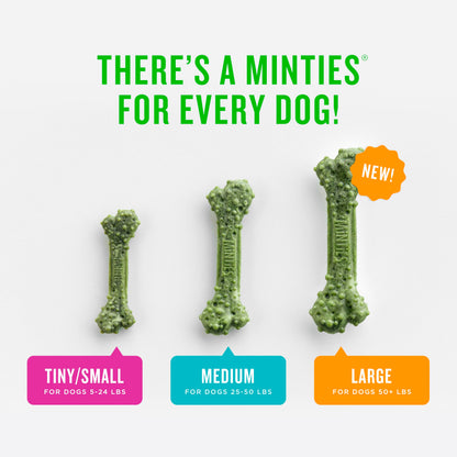 Minties Dental Chews for Dogs, 40 Count, Vet-Recommended Mint-Flavored Treats for Tiny/Small Dogs 5-24 lbs, Dental Bones Clean Teeth, Fight Bad Breath, and Removes Plaque and Tartar