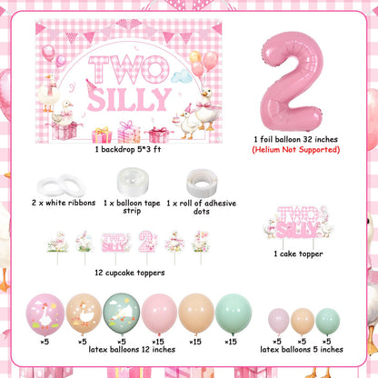 Two Silly Goose 2nd Birthday Decoration Little Goose Backdrop Gingham Cake Cupcake Topper Pink Green Apricot Latex Balloon Garland Arch Kit for Girl Farm Animal Second Birthday Party Supplies