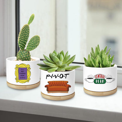 Ywkuiev Succulent Planter, Flower Cactus Plant Pot, Friends Merchandise, Funny Friendship Decor Themed Gifts for Men Women Friends Sister Bestie Housewarming Gift (Plants Not Included)