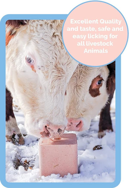 Salt Block for Deer & Horses – Compressed Mineral Salt Lick for Livestock, Cattle & Goats – Himalayan Secrets Pink Rock Salt Block (11LB/5KG, Block w/ Mounting Hole)