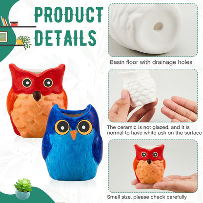 Tanlade 12 Set Paint Your Own Ceramic Planters Mini Owl Ceramic to Paint Succulent Pots 3 Inch Bisque Ceramics Unpainted with Drainage Hole Ready to Color Classroom Craft Project Activity