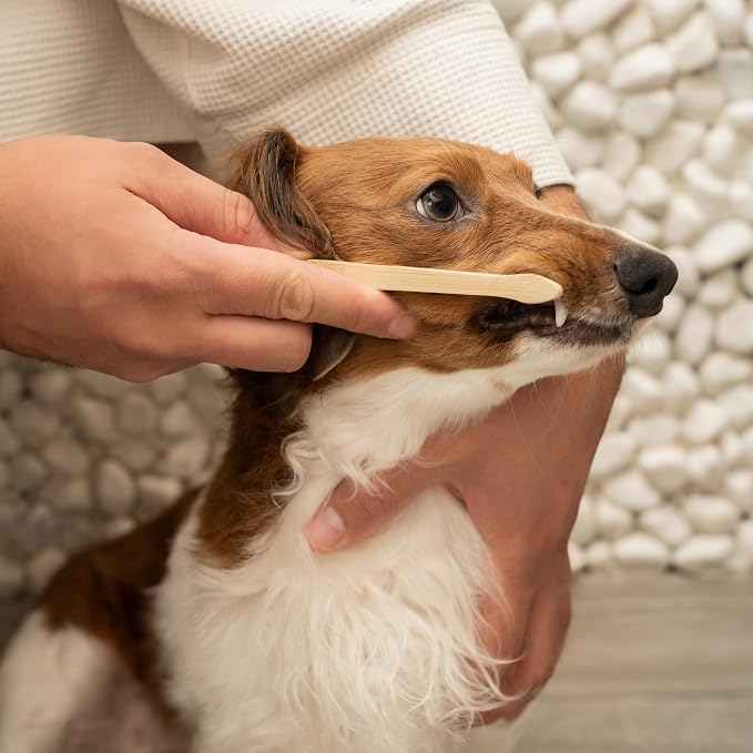 Bamboo Dog Toothbrush (4-Pack) | Double-Sided, Soft Bristle, Toothbrush for Small and Large Dogs | Pets Dental Care
