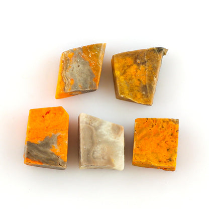 CRYSTALINES 5pcs AAA Grade Natural Raw Bumble Bee Jasper Gemstone, Wholesale Rough Stones, Bulk Loose Supplies, DIY-Jewelry Making, Artisan Crafts, Wire Wrapping, Gem Collection
