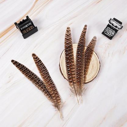 MAOFENG 12pcs Natural Feathers Female Ringneck Pheasant Tails Feathers 8-10inch 20-25cm for Crafts Wedding Party Performance Home DIY Decoration,Female Pheasant Feathers