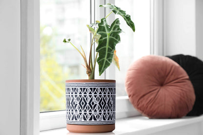 D'vine Dev Set of 2 Terracotta Pots, Diamond Pattern Planter Pot, 4 Inch and 6 Inch, Pot with Drainage Hole and Saucer, Terracotta/Black, 31-958-G-2