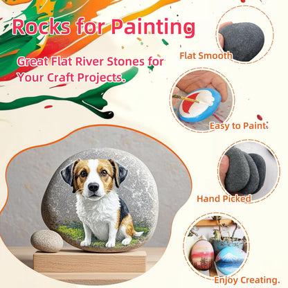 MEILALA 12PCS Large Painting Rocks, 3“-4” River Rocks for Painting ， DIY Rocks Flat & Smooth Kindness Rocks for Arts, Crafts, Decoration