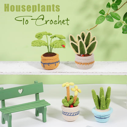 Hssugi Crochet Kit for Beginners, 6PCS Succulents Plants Crochet Kits, Knitting Kit with Step-by-Step Video Tutorials, Crochet Yarn DIY Beginner Crochet Kit for Adults Succulent Family