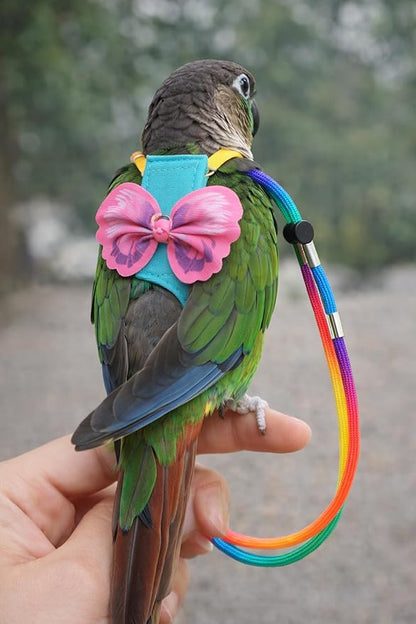 Parrot Harness and Leash Set with Diaper, Washable Pet Bird Diapers with Leash, Flight Suit Set for Outdoor Flying & Training (Size M)