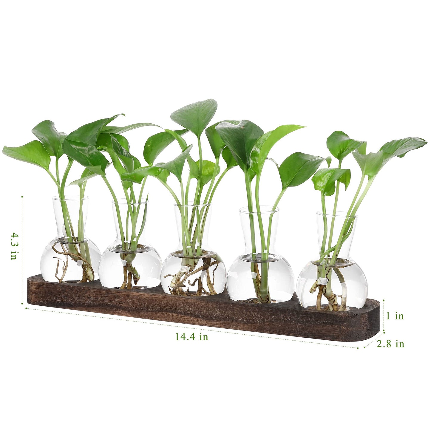 YIBOT Propagation Vases for Plants Terrarium with Wooden Tray,5 Glass Vases