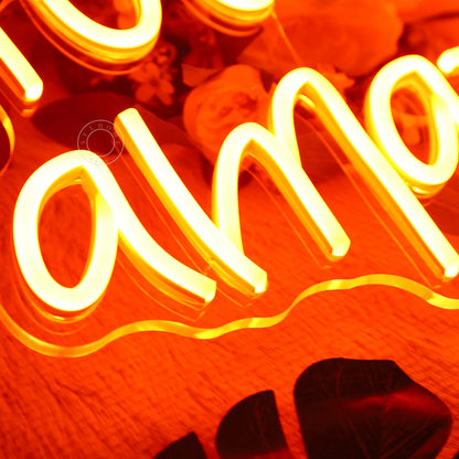 SYLHOME You Are Amazing LED Neon Light Sign 5V Girls Boys Bedroom Living Room Classroom Wall Decor Sign Hanging Smart Kid Birthday USB 16.9" X 10.6" Warm White