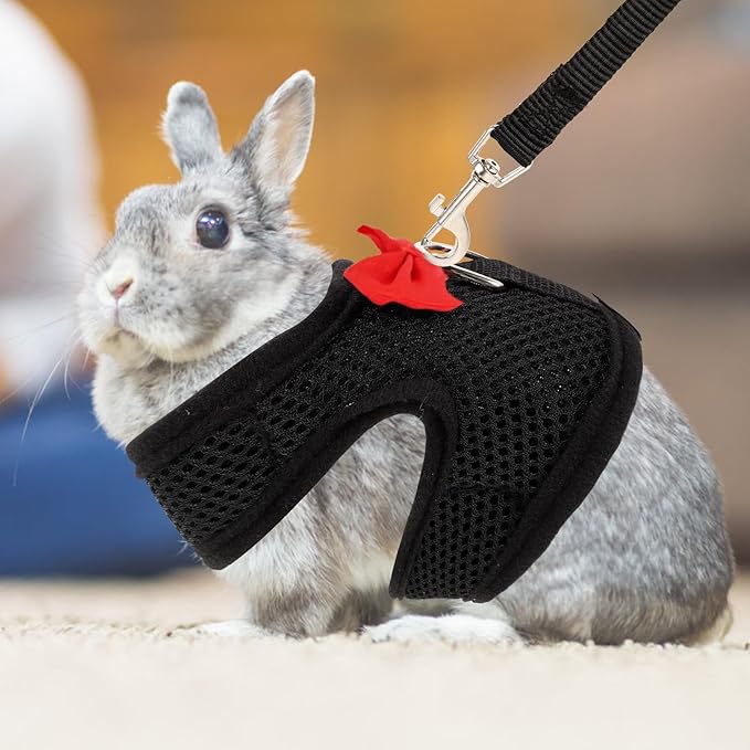 Balacoo Small Animal Harness Leash Set Breathable Soft Mesh Small Pet Vest Harness Size S Chest 20-23cm Rabbit Walking Leash for Guinea Pig and Other Small Pets