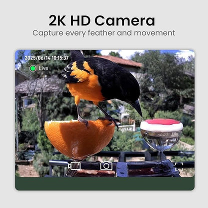 Smart Bird Feeder with Camera Solar Powered 2K HD Video, 10,000+ Species AI Recognition, Real-Time App Alerts, and Weatherproof Design for Effortless Birdwatching, Gift for Bird Lovers, Green Brown