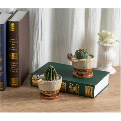 MAKOLO Ceramic Succulent Planter Small Pot with Drainage Hole and Tray for Cactus Flower Plant Container Shelf Home Office Desk Decoration (Raccoon)