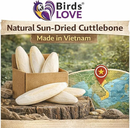 Farm to Feathers™ Bird Millet & Cuttlebone Bundle – USA Grown Millet Sprays for Parakeets, Budgies, Cockatiels, Finches & Canaries – 1 lb Tips and Tails Millet + 4” Cuttlebone (4 Pack)