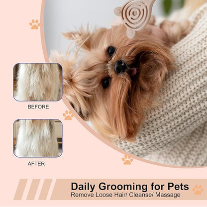 Cat-Ear Design Puppy Brush, Gentle Soft-Bristle Small Dogs Plastic Detangling Grooming Tool, Fit for Yorkie Shih Tzu Maltese Maltipoo (Blue)