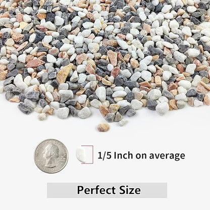 YISZM 5LBS Succulent and Cactus Gravel Pebbles, 1/5 Inch Natural Decorative Polished Stones, River Rocks for Vases, Aquariums, Terrarium and Outdoor Gardening, Mixed Color