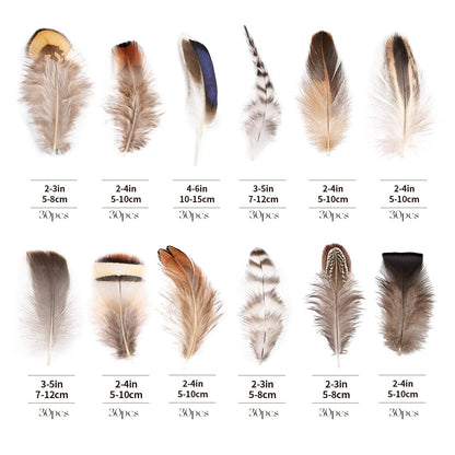 Natural Feathers Bulk -360PCS - 12 Styles Assorted Small Natural Feathers, Peacock Feathers, Pheasant Feathers, Turkey Feathers for DIY Crafts, Wedding, Crafting Supplies