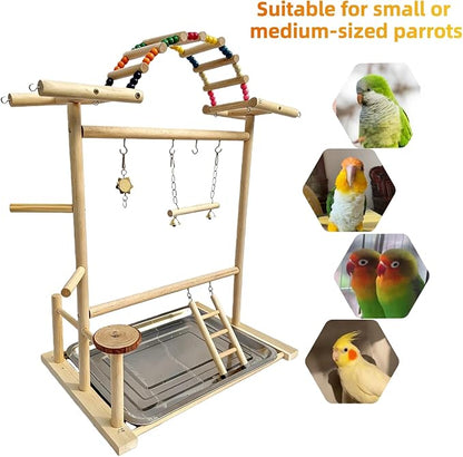 Bird Play Stand with Beads & Swing for Parrots | Multi-Level Natural Wood Stand | Perfect for Parakeets, Cockatiels & Small Parrots | Engaging Bird Perch & Toys