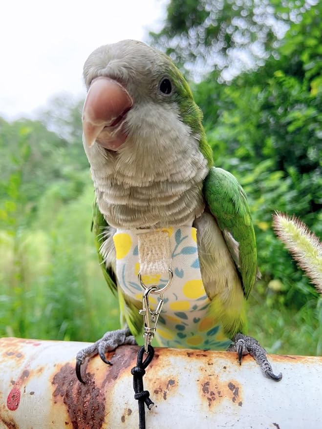 Bird Diaper Harness Flight Suit Clothes, Parrot Flight Suit with Leash, Bird Flying Clothes with Rope and Handle for Outdoor Activities Training (Yellow with Leash,Large)