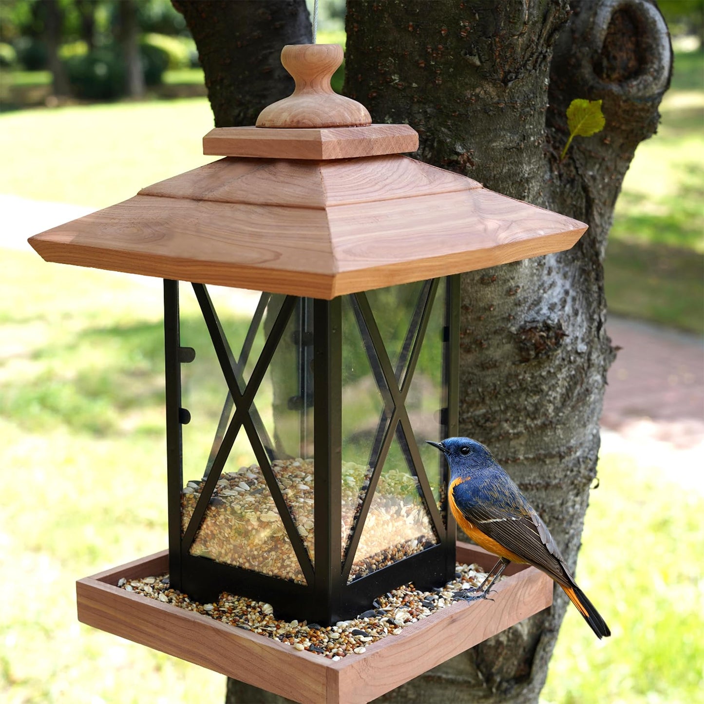 Cedar & Metal Frame Bird Feeder for Outdoors Hanging Mount Large Capacity, Black Wooden Garden Roof Feeder Lantern Style, Cardinal Bluebird Birdfeeder with Iron Frame Wall for Garden Decor Durable