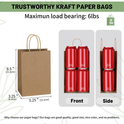 Mlyta 100 Pack 5.25x3.25x8.5 Inch Plain Small Brown Kraft Paper Gift Bags with Handles Bulk for Goodie, Party Favor Brithday Grocery Shopping, Small Business Wedding Retail Treat, Merchandise Sacks